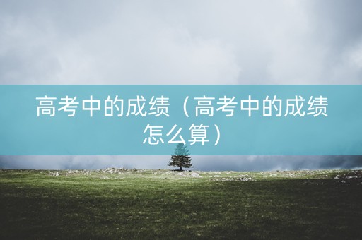 高考中的成绩（高考中的成绩怎么算）