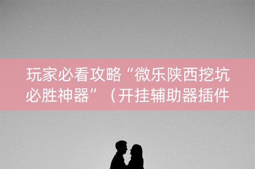 玩家必看攻略“微乐陕西挖坑必胜神器”（开挂辅助器插件)