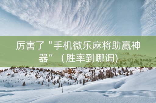 厉害了“手机微乐麻将助赢神器”（胜率到哪调)