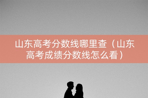 山东高考分数线哪里查（山东高考成绩分数线怎么看）
