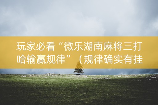 玩家必看“微乐湖南麻将三打哈输赢规律”（规律确实有挂)