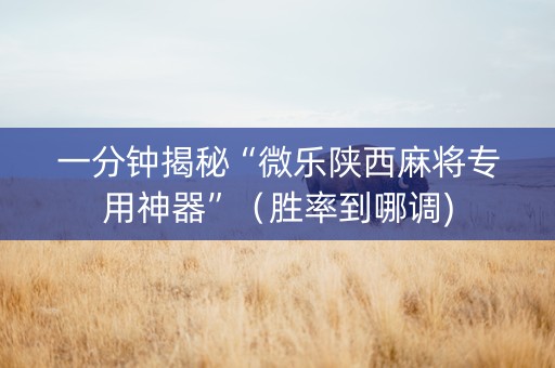 一分钟揭秘“微乐陕西麻将专用神器”（胜率到哪调)