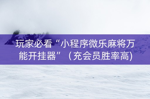 玩家必看“小程序微乐麻将万能开挂器”（充会员胜率高)
