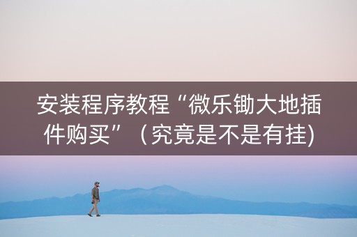 安装程序教程“微乐锄大地插件购买”（究竟是不是有挂)