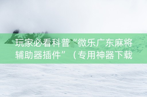 玩家必看科普“微乐广东麻将辅助器插件”（专用神器下载)