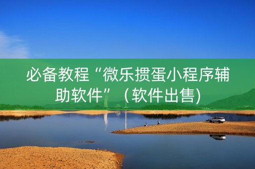 必备教程“微乐掼蛋小程序辅助软件”（软件出售)