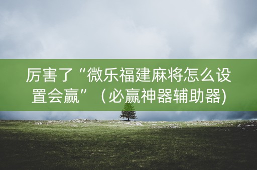厉害了“微乐福建麻将怎么设置会赢”（必赢神器辅助器)