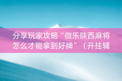 分享玩家攻略“微乐陕西麻将怎么才能拿到好牌”（开挂辅助器脚本)