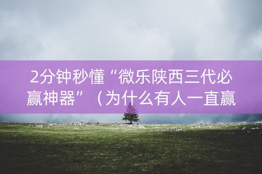 2分钟秒懂“微乐陕西三代必赢神器”（为什么有人一直赢)