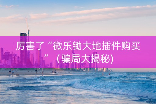 厉害了“微乐锄大地插件购买”（骗局大揭秘)