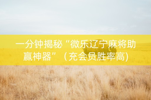 一分钟揭秘“微乐辽宁麻将助赢神器”（充会员胜率高)