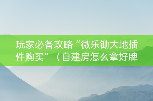 玩家必备攻略“微乐锄大地插件购买”（自建房怎么拿好牌)
