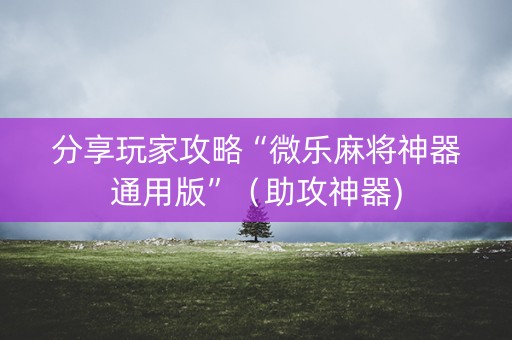 分享玩家攻略“微乐麻将神器通用版”（助攻神器)