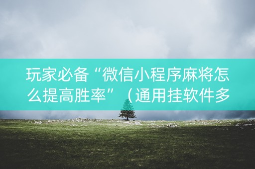玩家必备“微信小程序麻将怎么提高胜率”（通用挂软件多少钱)
