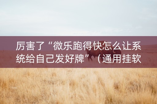 厉害了“微乐跑得快怎么让系统给自己发好牌”（通用挂软件多少钱)