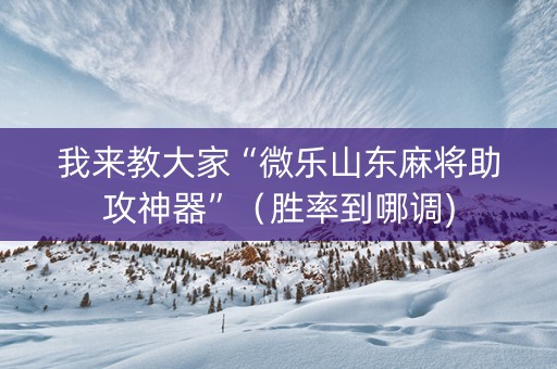 我来教大家“微乐山东麻将助攻神器”（胜率到哪调)