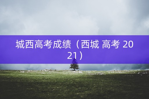 城西高考成绩（西城 高考 2021）