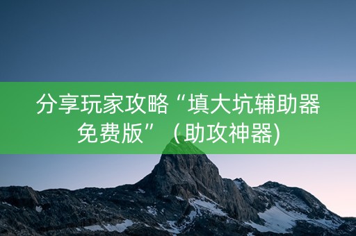 分享玩家攻略“填大坑辅助器免费版”（助攻神器)