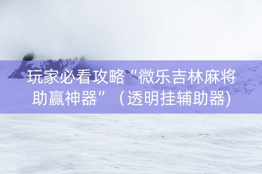 玩家必看攻略“微乐吉林麻将助赢神器”（透明挂辅助器)