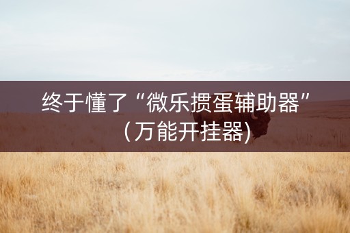终于懂了“微乐掼蛋辅助器”（万能开挂器)