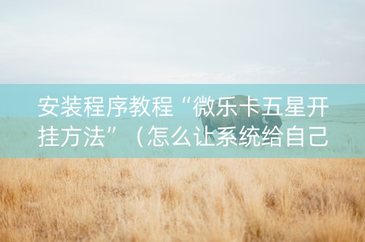 安装程序教程“微乐卡五星开挂方法”（怎么让系统给自己好牌)