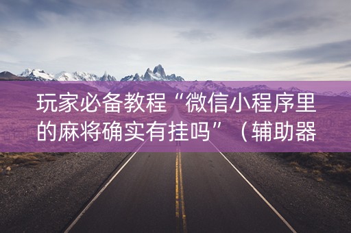 玩家必备教程“微信小程序里的麻将确实有挂吗”（辅助器插件)