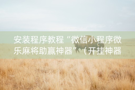 安装程序教程“微信小程序微乐麻将助赢神器”（开挂神器下载)