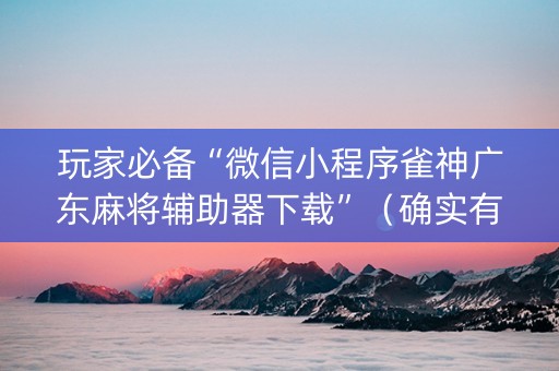 玩家必备“微信小程序雀神广东麻将辅助器下载”（确实有插件吗)