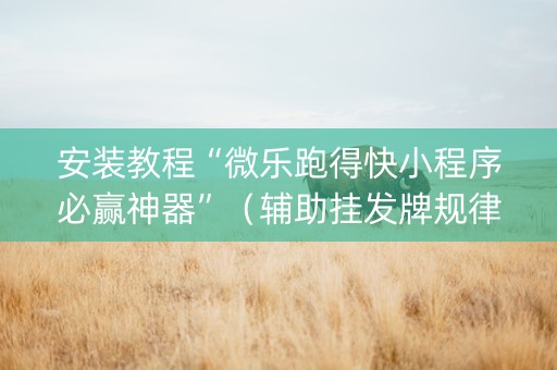 安装教程“微乐跑得快小程序必赢神器”（辅助挂发牌规律)