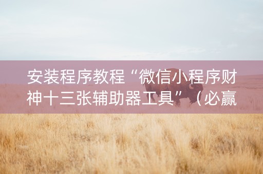 安装程序教程“微信小程序财神十三张辅助器工具”（必赢神器免费安装)