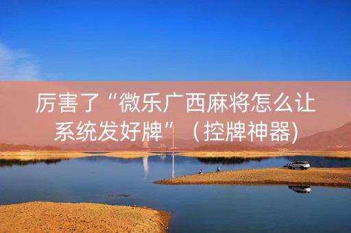 厉害了“微乐广西麻将怎么让系统发好牌”（控牌神器)
