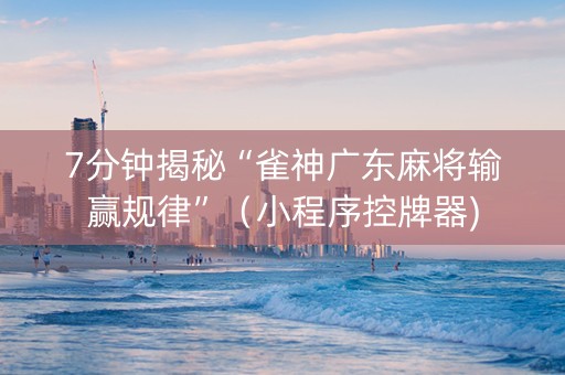 7分钟揭秘“雀神广东麻将输赢规律”（小程序控牌器)