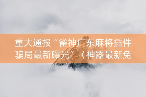重大通报“雀神广东麻将插件骗局最新曝光”（神器最新免费)
