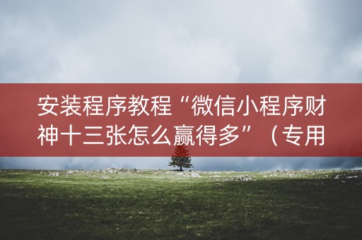 安装程序教程“微信小程序财神十三张怎么赢得多”（专用神器)