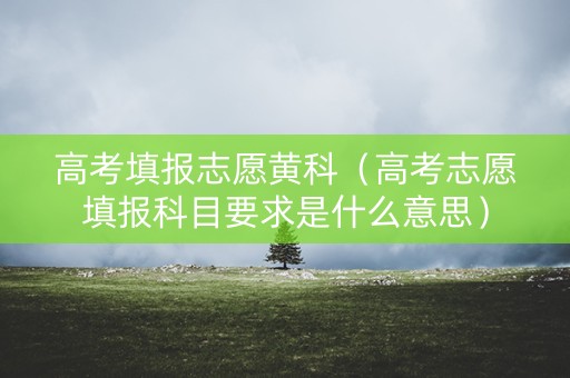 高考填报志愿黄科（高考志愿填报科目要求是什么意思）