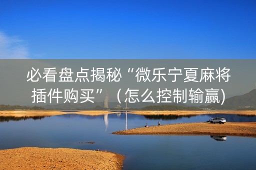 必看盘点揭秘“微乐宁夏麻将插件购买”（怎么控制输赢)