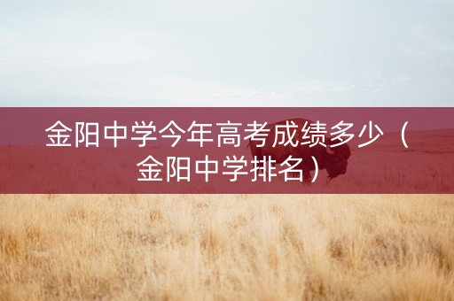 金阳中学今年高考成绩多少（金阳中学排名）