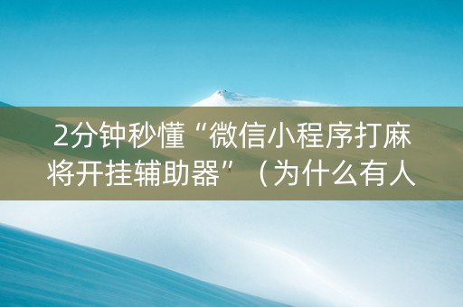 2分钟秒懂“微信小程序打麻将开挂辅助器”（为什么有人一直赢)