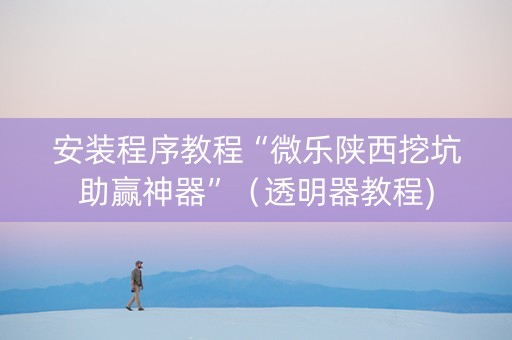 安装程序教程“微乐陕西挖坑助赢神器”（透明器教程)