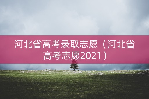 河北省高考录取志愿（河北省高考志愿2021）