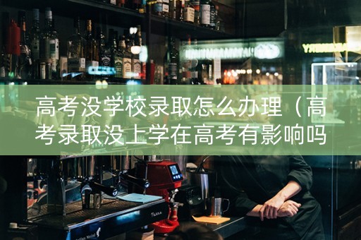 高考没学校录取怎么办理（高考录取没上学在高考有影响吗）