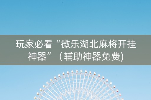 玩家必看“微乐湖北麻将开挂神器”（辅助神器免费)