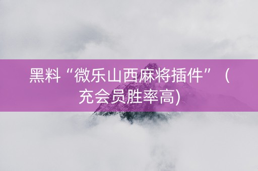 黑料“微乐山西麻将插件”（充会员胜率高)