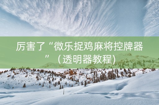 厉害了“微乐捉鸡麻将控牌器”（透明器教程)