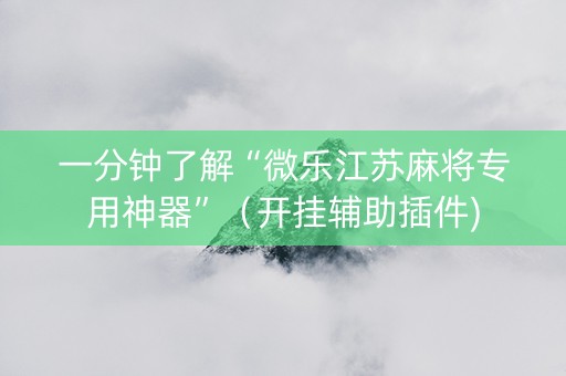 一分钟了解“微乐江苏麻将专用神器”（开挂辅助插件)