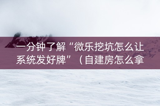 一分钟了解“微乐挖坑怎么让系统发好牌”（自建房怎么拿好牌)
