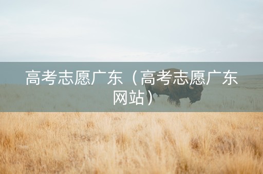 高考志愿广东（高考志愿广东网站）