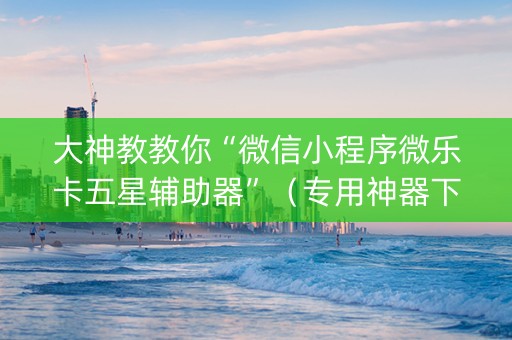 大神教教你“微信小程序微乐卡五星辅助器”（专用神器下载)