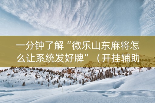 一分钟了解“微乐山东麻将怎么让系统发好牌”（开挂辅助脚本)