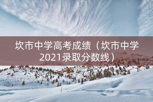 坎市中学高考成绩（坎市中学2021录取分数线）